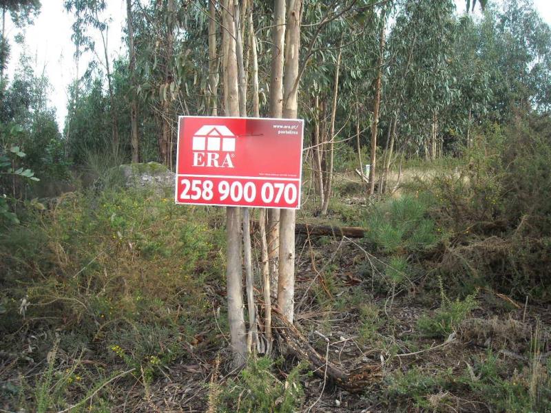 Terreno  Ponte de Lima, Brandara - 98729 - 2