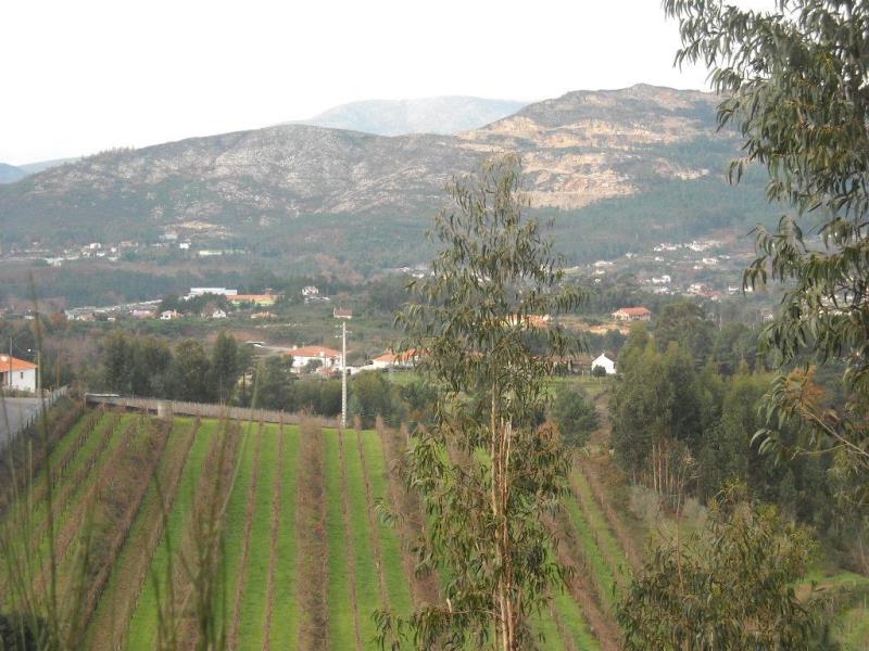 Terreno  Ponte de Lima, Brandara - 98729 - 3
