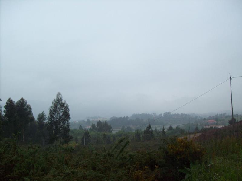 Terreno  Ponte de Lima, Brandara - 99040 - 4