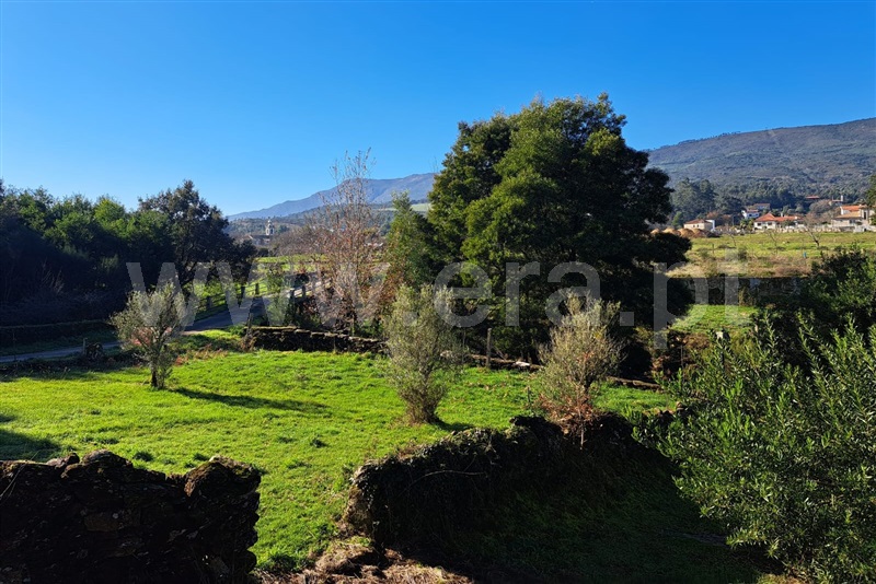 Terreno / Ponte de Lima, Cabração