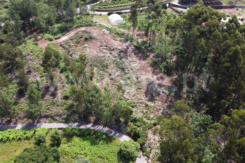 Terreno para Construção / Ponte de Lima, Calheiros