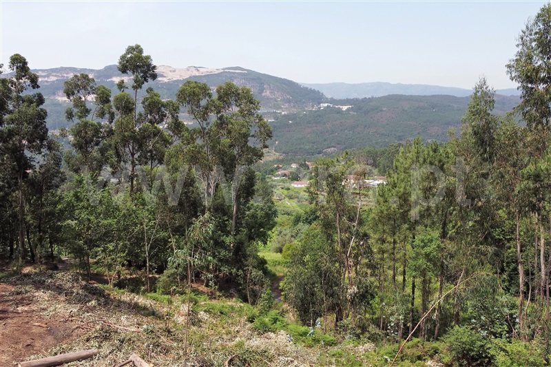 Terreno para Construção  Ponte de Lima, Calheiros - 1255184 - 6