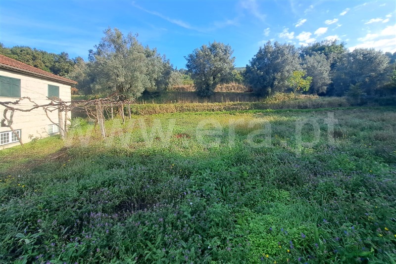 Terreno  Ponte de Lima, Calheiros - 1512178 - 1