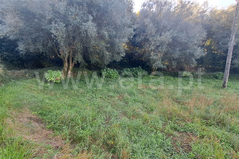 Terreno  Ponte de Lima, Calheiros - 1512178 - 3