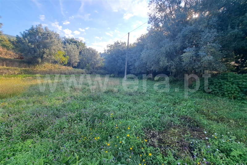 Terreno  Ponte de Lima, Calheiros - 1512178 - 5