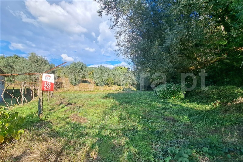 Terreno / Ponte de Lima, Calheiros