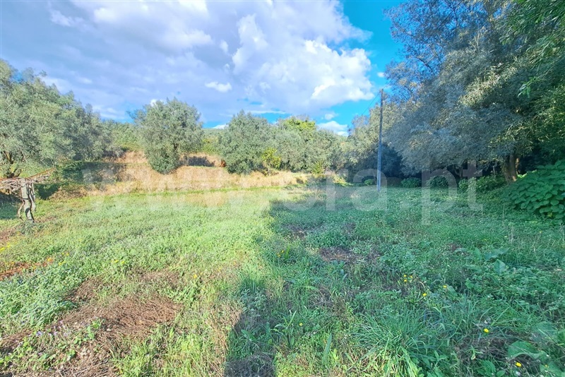 Terreno  Ponte de Lima, Calheiros - 1512178 - 8