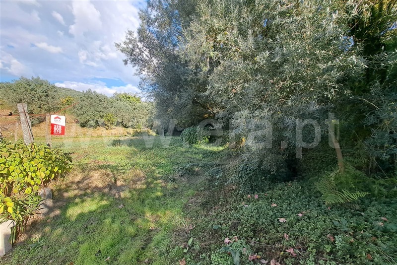 Terreno  Ponte de Lima, Calheiros - 1512178 - 9