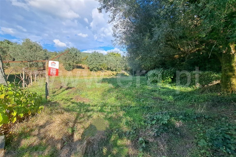 Terreno  Ponte de Lima, Calheiros - 1512178 - 11