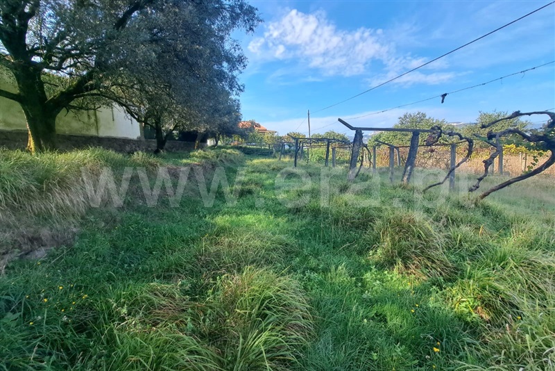 Terreno  Ponte de Lima, Calheiros - 1512182 - 1