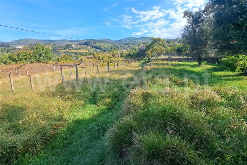 Terreno  Ponte de Lima, Calheiros - 1512182 - 3
