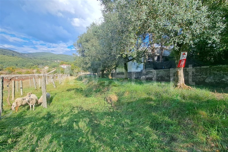 Terreno  Ponte de Lima, Calheiros - 1512182 - 3