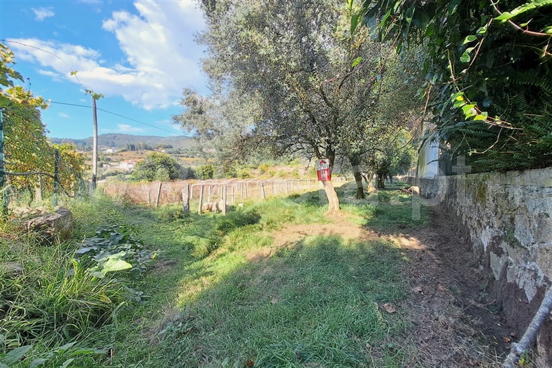 Terreno  Ponte de Lima, Calheiros - 1512182 - 4