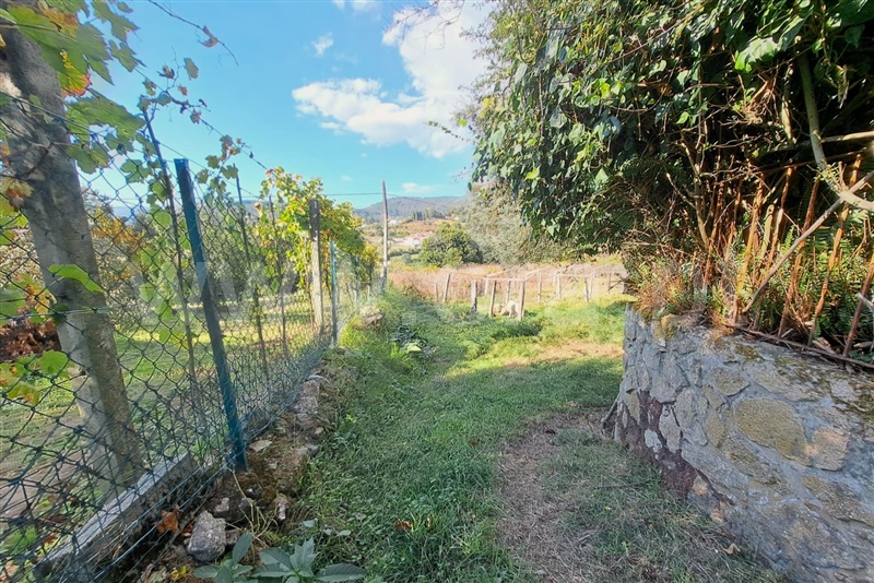 Terreno  Ponte de Lima, Calheiros - 1512182 - 5