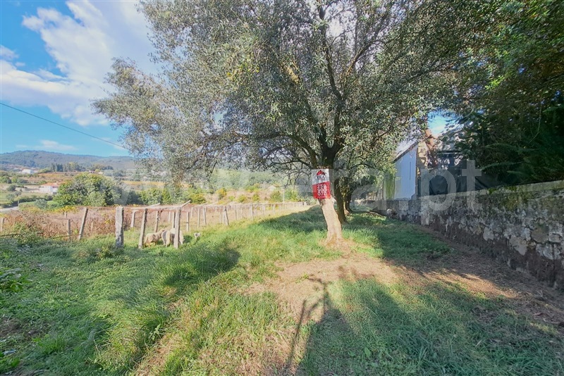 Terreno / Ponte de Lima, Calheiros