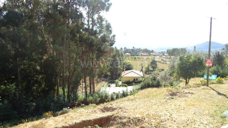 Terreno / Ponte de Lima, Calheiros