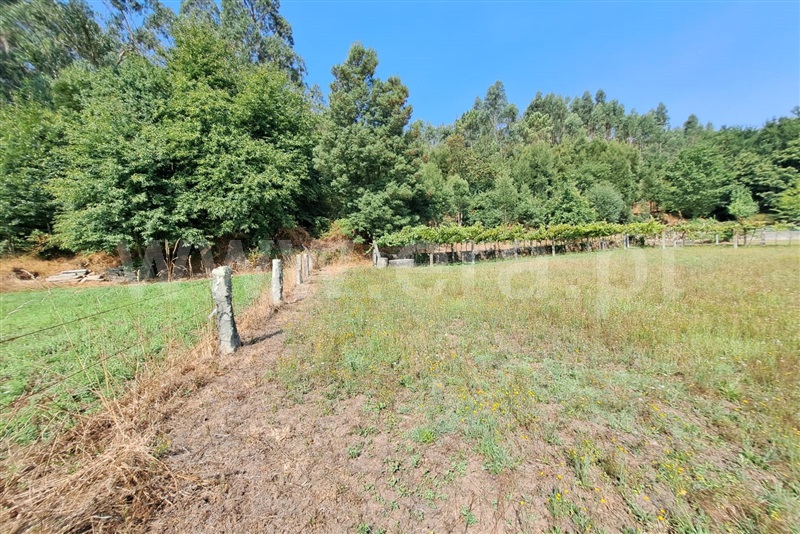 Terreno / Ponte de Lima, Estorãos