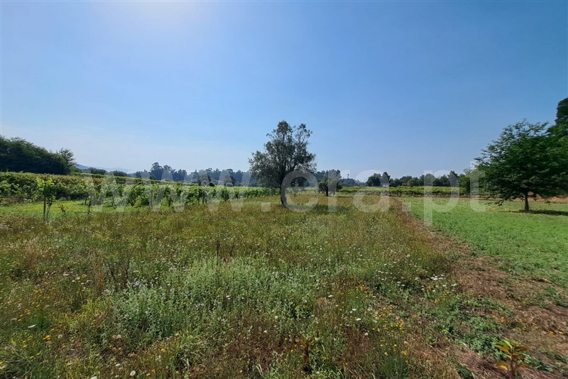 Terreno  Ponte de Lima, Estorãos - 1502832 - 2