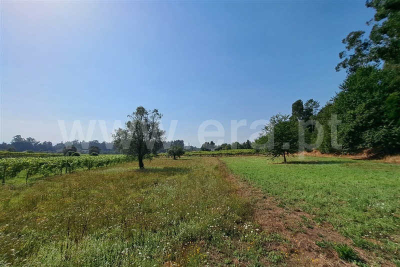 Terreno  Ponte de Lima, Estorãos - 1502832 - 3