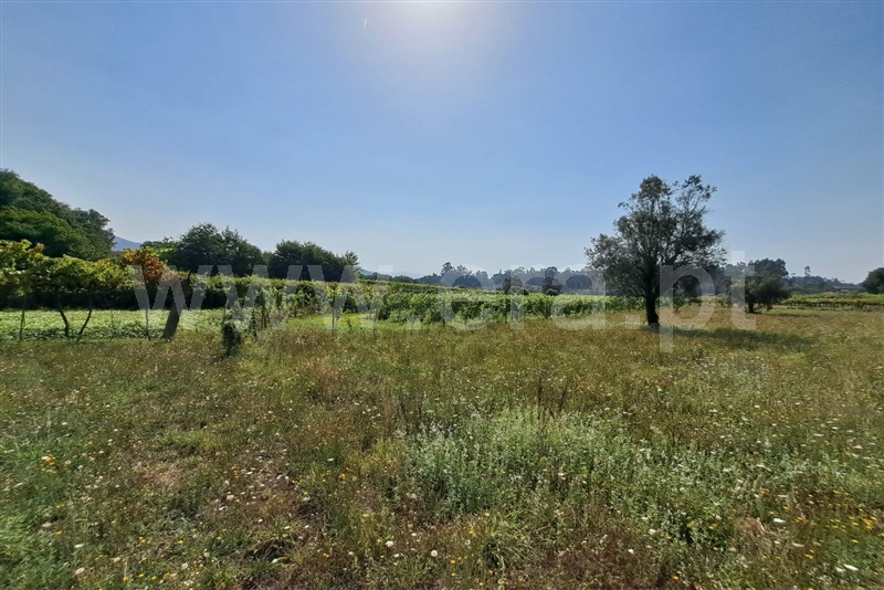 Terreno  Ponte de Lima, Estorãos - 1502832 - 4