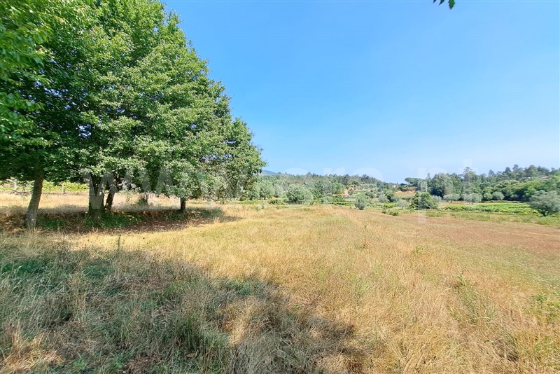 Terreno  Ponte de Lima, Estorãos - 1502839 - 3