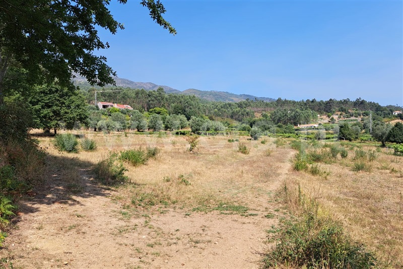 Terreno  Ponte de Lima, Estorãos - 1502839 - 4