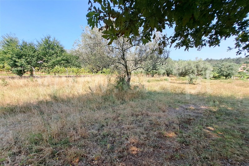Terreno  Ponte de Lima, Estorãos - 1502839 - 5