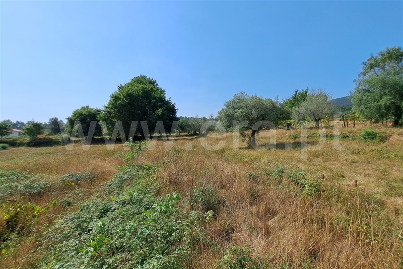 Terreno  Ponte de Lima, Estorãos - 1502839 - 7