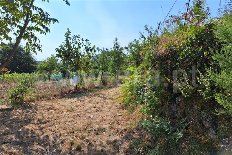 Terreno  Ponte de Lima, Estorãos - 1502839 - 8