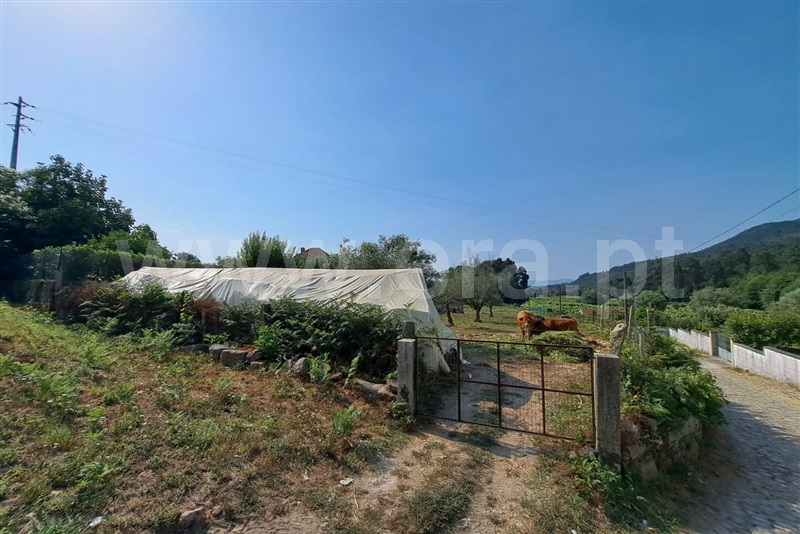 Terreno  Ponte de Lima, Estorãos - 1502882 - 4