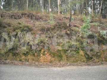 Terreno / Ponte de Lima, Fornelos