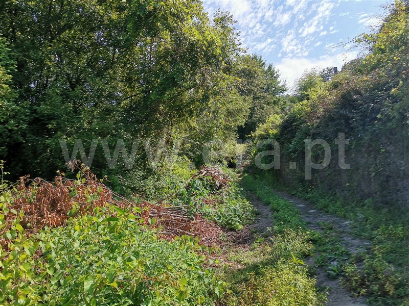 Terreno  Ponte de Lima, Gandra - 1194875 - 3