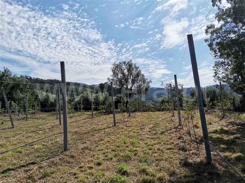 Terreno  Ponte de Lima, Gandra - 1194876 - 5