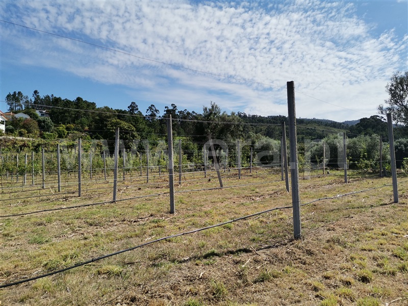 Terreno  Ponte de Lima, Gandra - 1194876 - 6