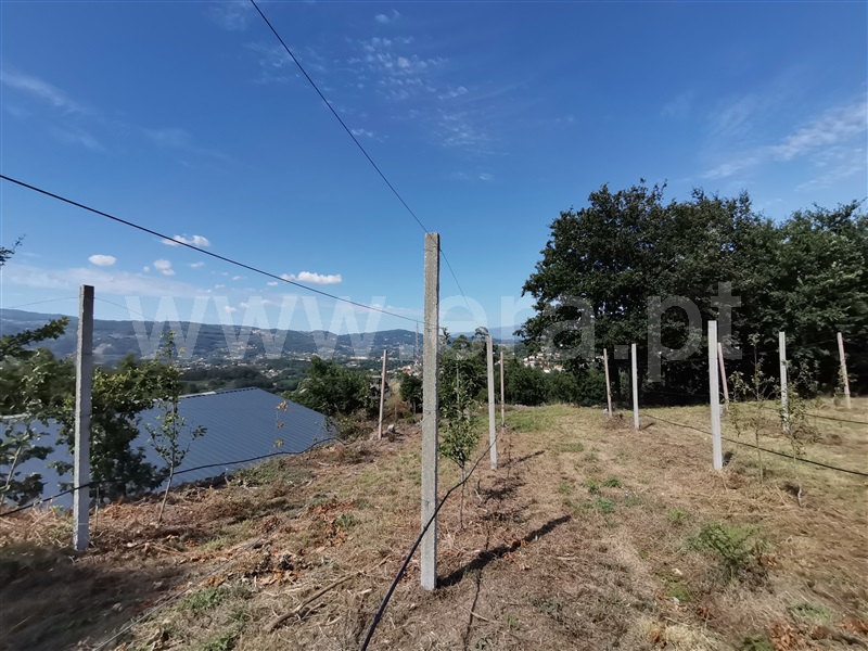 Terreno  Ponte de Lima, Gandra - 1194876 - 8