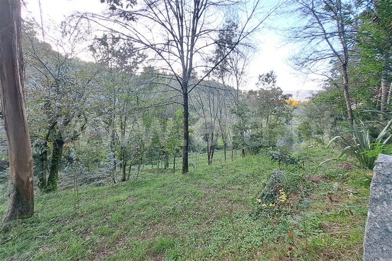 Terreno  Ponte de Lima, Gandra - 1451897 - 3