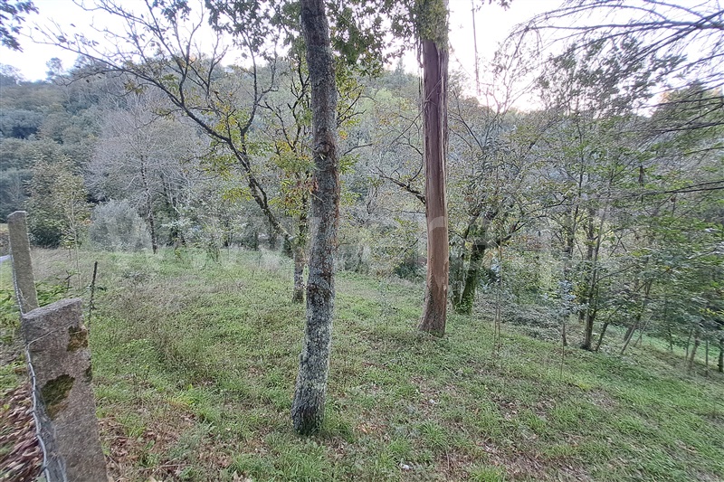 Terreno  Ponte de Lima, Gandra - 1451897 - 5