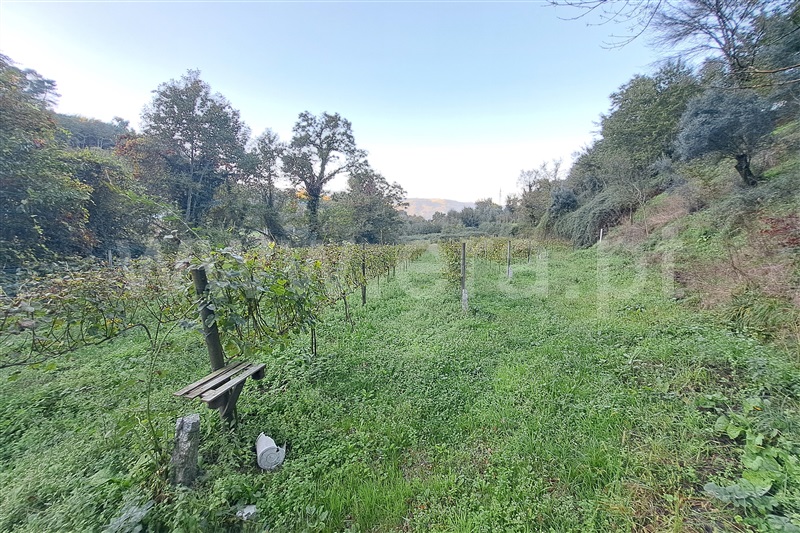 Terreno  Ponte de Lima, Gandra - 1451897 - 7