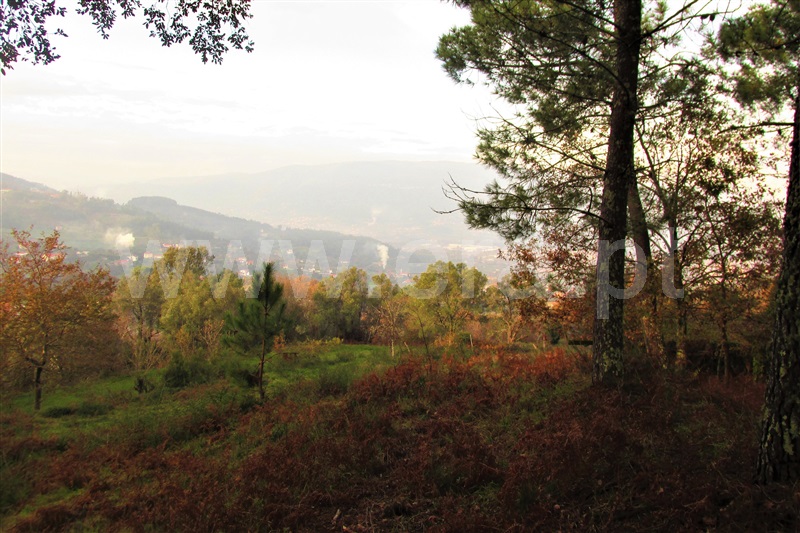Terreno  Ponte de Lima, Gondufe - 1061795 - 2