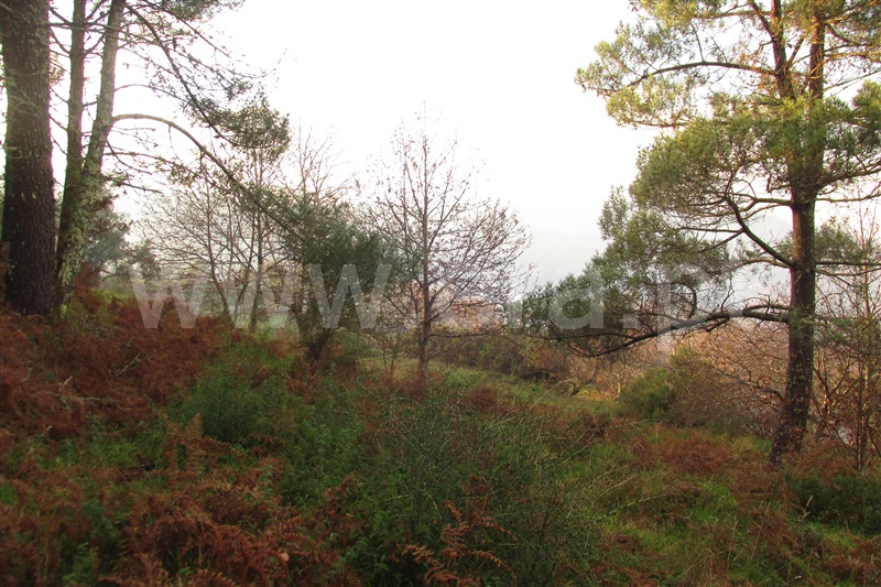 Terreno  Ponte de Lima, Gondufe - 1061795 - 4