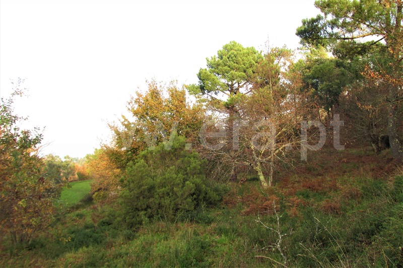 Terreno  Ponte de Lima, Gondufe - 1061795 - 6