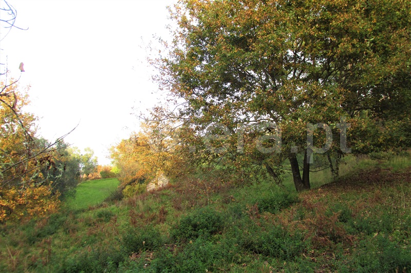 Terreno  Ponte de Lima, Gondufe - 1061795 - 8