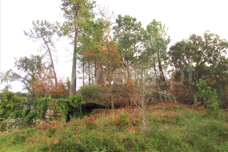 Terreno  Ponte de Lima, Gondufe - 1061795 - 10
