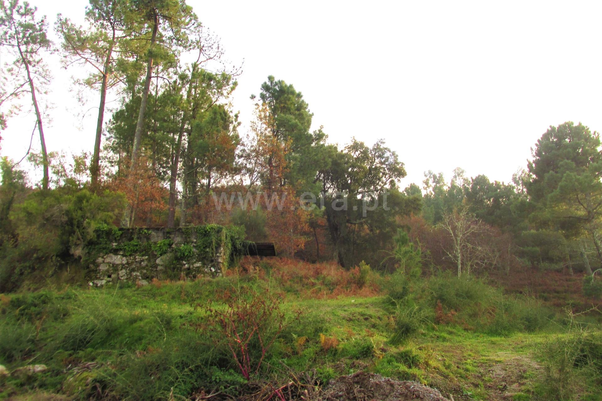 Land for sale in Ponte de Lima, Portugal — €75,000