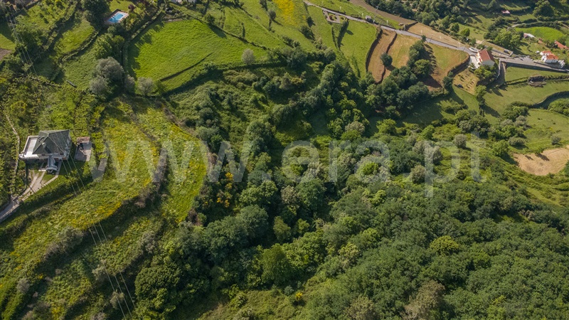 Terreno / Ponte de Lima, Labrujó, Rendufe e Vilar do Monte
