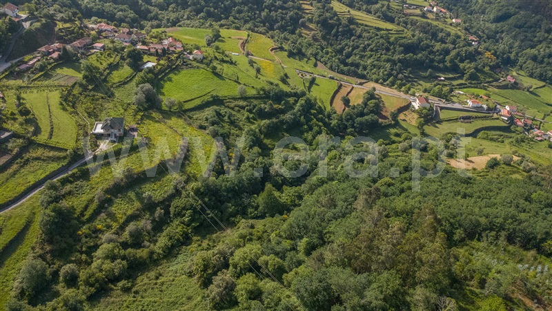 Terreno / Ponte de Lima, Labrujó, Rendufe e Vilar do Monte
