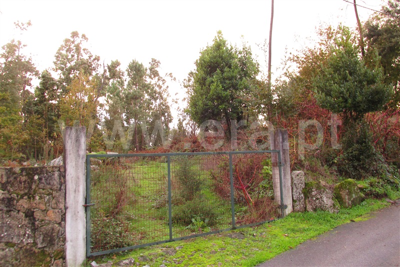 Terreno / Ponte de Lima, Mato