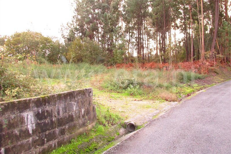 Terreno  Ponte de Lima, Mato - 1055988 - 2
