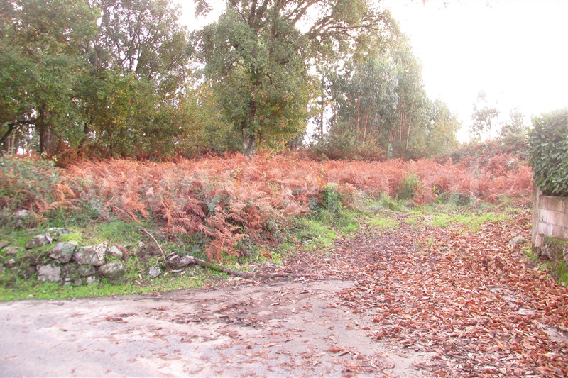 Terreno  Ponte de Lima, Mato - 1055988 - 6