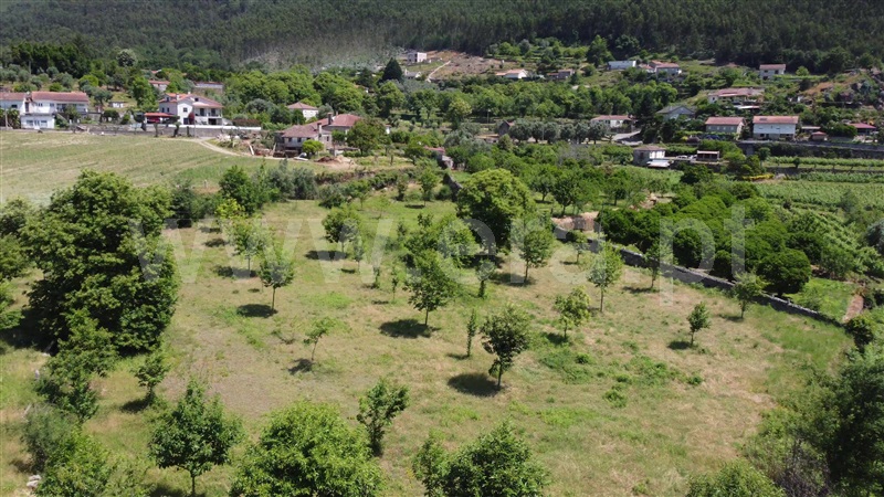 Terreno  Ponte de Lima, Moreira do Lima - 1273098 - 7